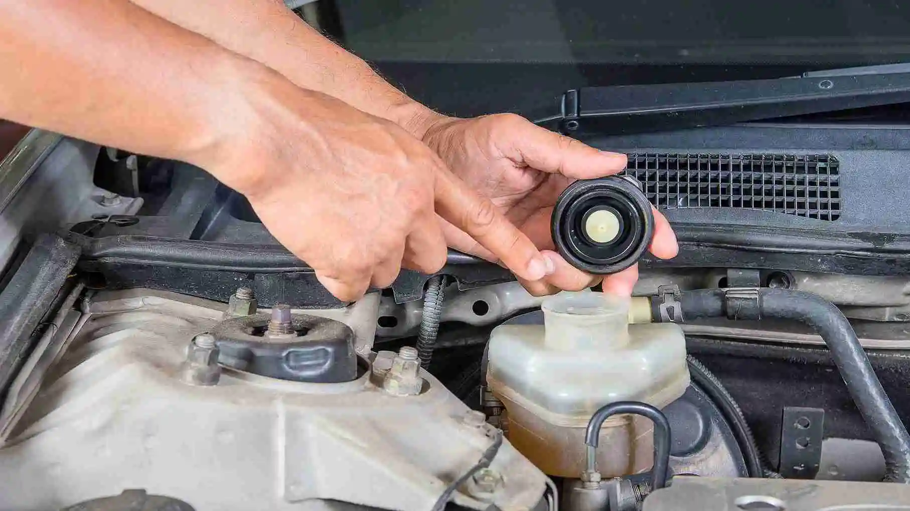 Car Fluid Maintenance